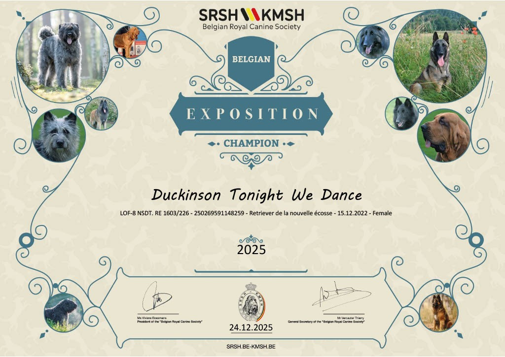 Des Dragons De Sologne - Tsuyu obtient le titre de Championne d'exposition de Belgique