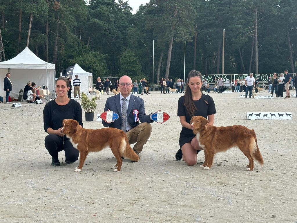 Tsuyu obtient le RCACS de la Nationale d'élevage à Fontainebleau