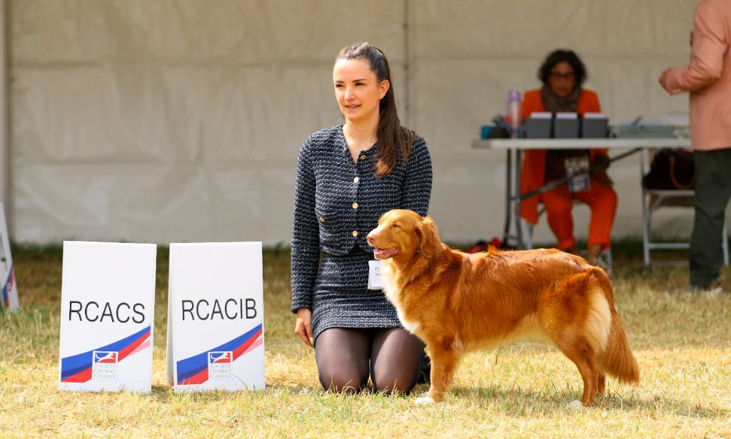 Résultats du Championnat de France 2025